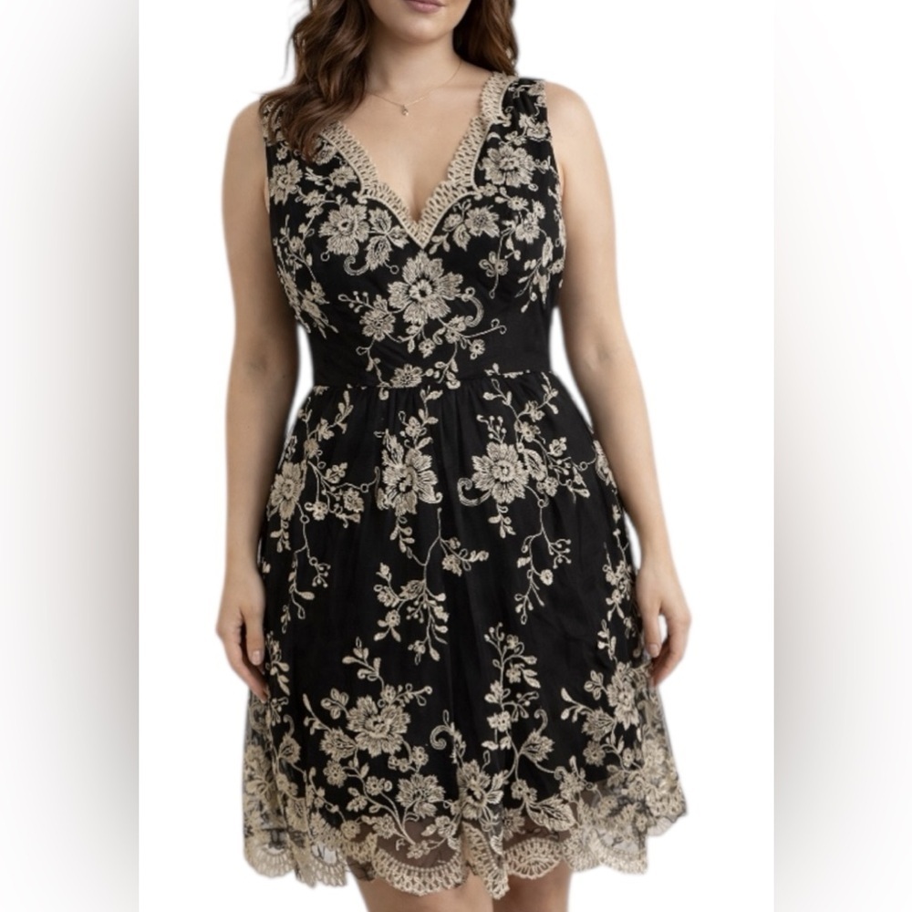 Soleblu Black Lace Embroidered Dress Sleeveless Floral Size L